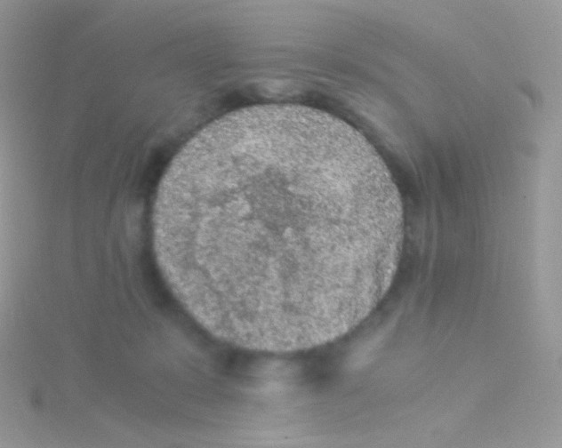 X0000115040319200911231138