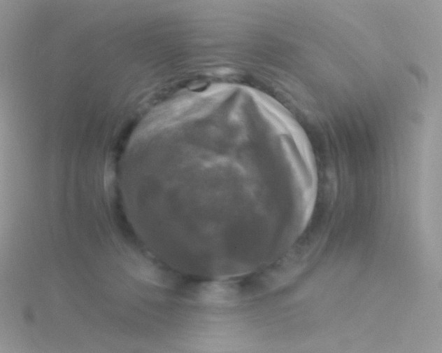 X0000115040320200911231138