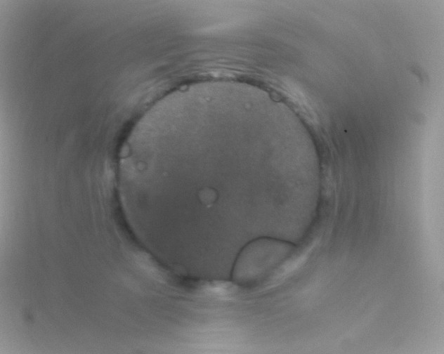 X0000115040321200911231138