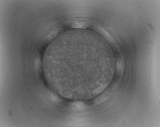 X0000115040322200911231138