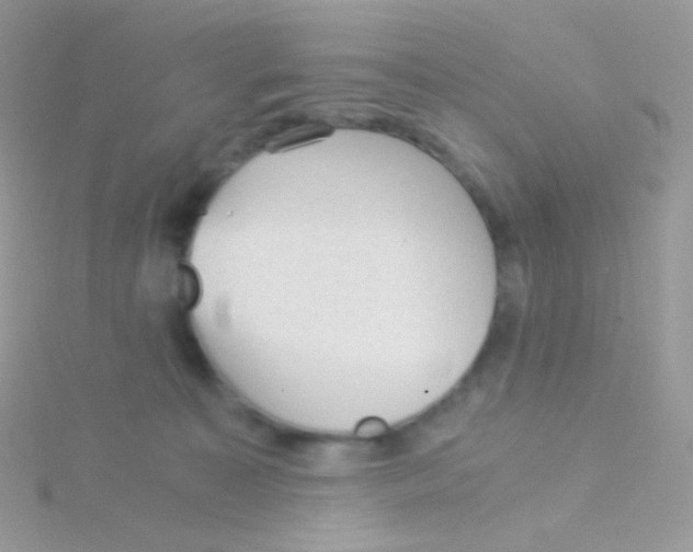 X0000115040323200911231138