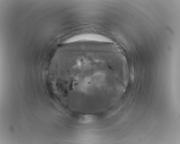 X0000115040324200911231138