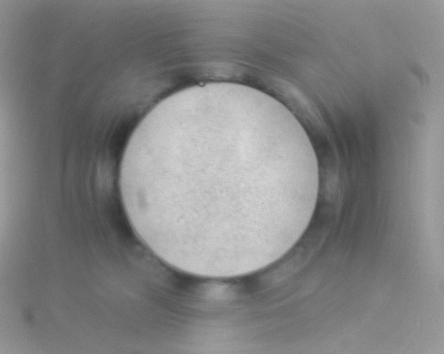 X0000115040326200911231138