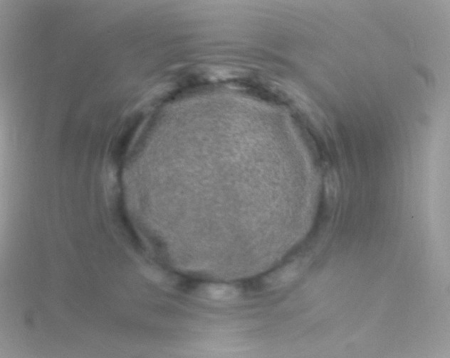 X0000115040327200911231138