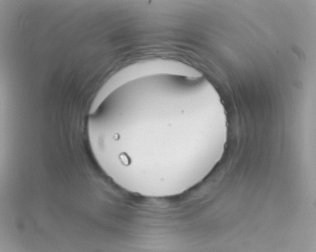 X0000115040328200911231138