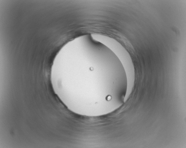 X0000115040329200911231138