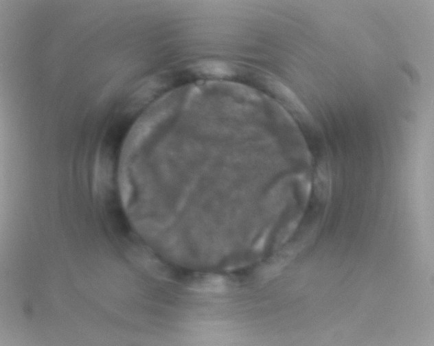 X0000115040330200911231138