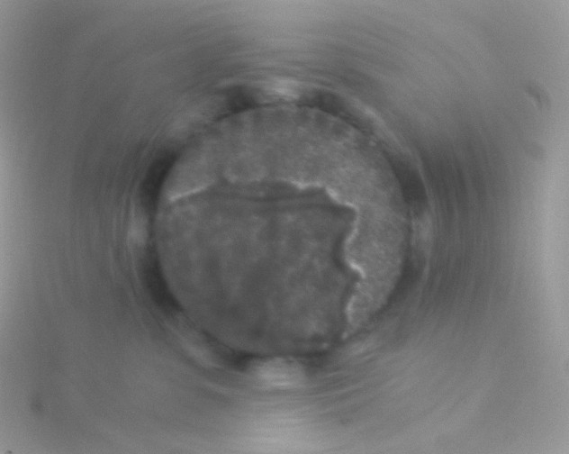 X0000115040331200911231138