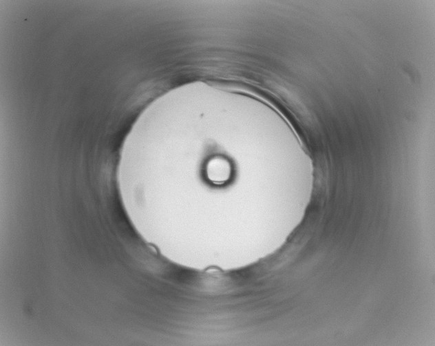 X0000115040333200911231138