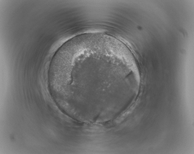 X0000115040337200911231137