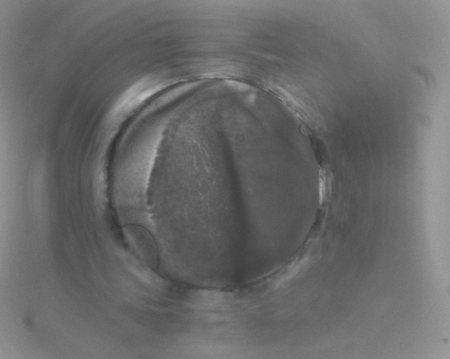 X0000115040339200911231137