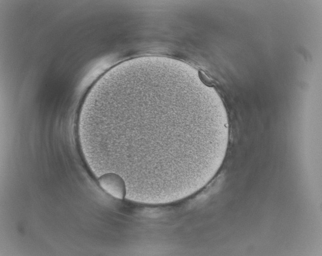 X0000115040341200911231137