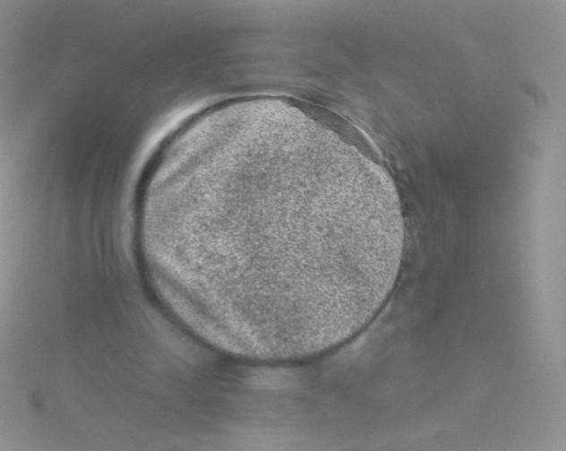 X0000115040342200911231137