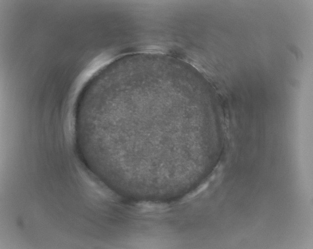 X0000115040343200911231137