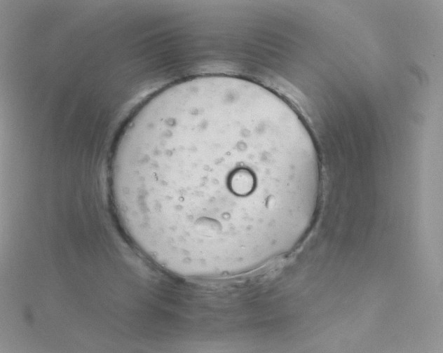 X0000115040345200911231137