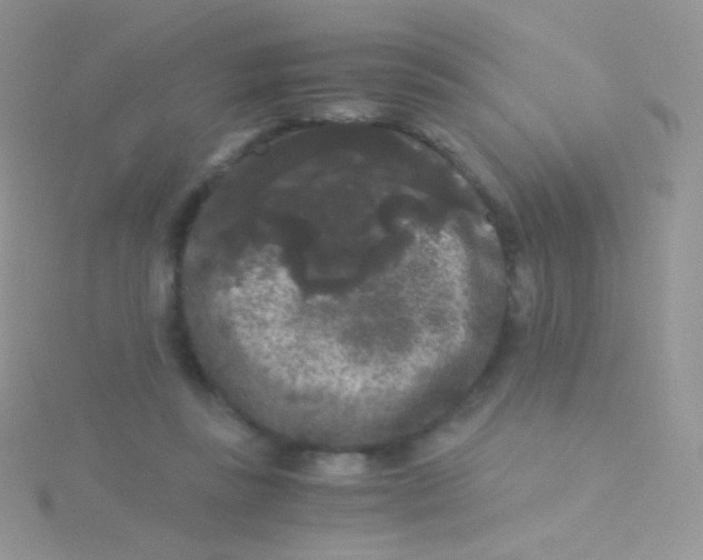 X0000115040355200911231137