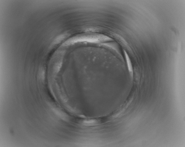 X0000115040357200911231137