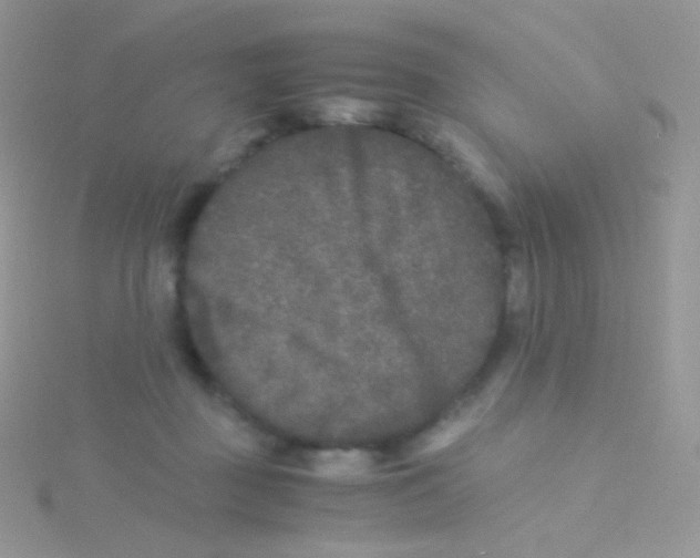 X0000115040363200911231137