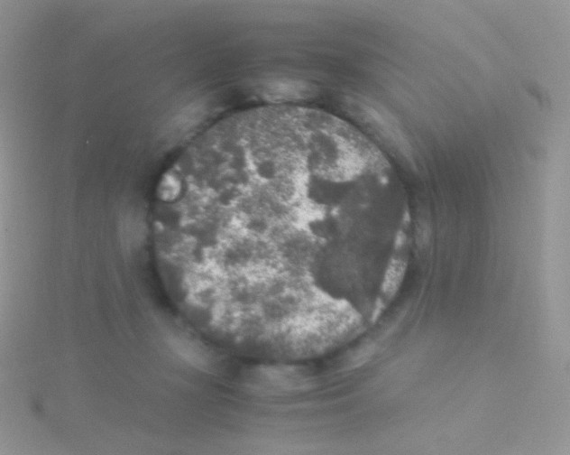 X0000115040367200911231137