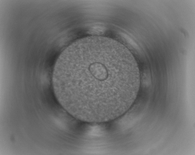 X0000115040370200911231137