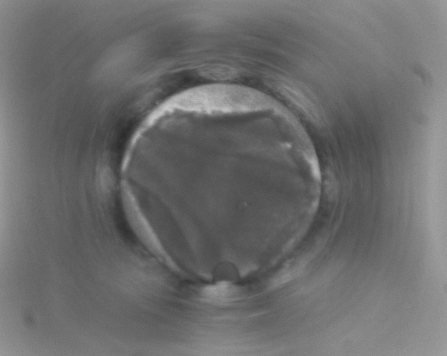 X0000115040371200911231137