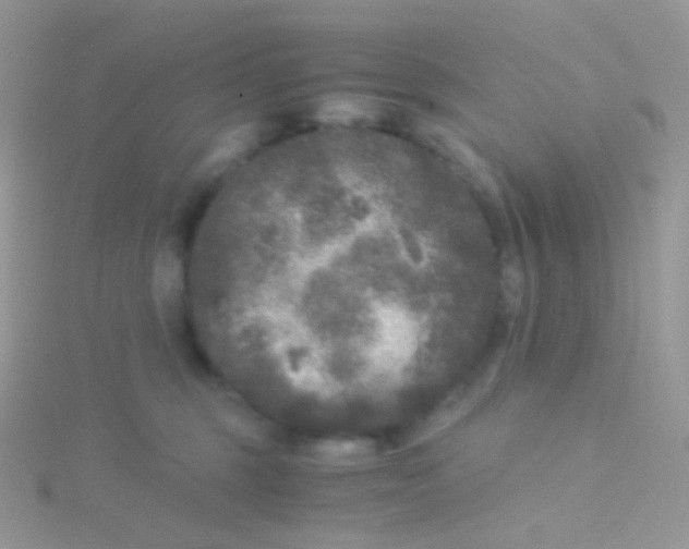 X0000115040375200911231137