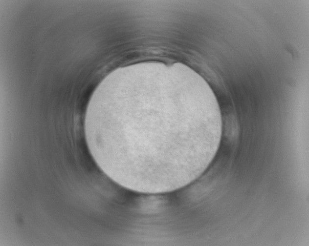 X0000115040378200911231138