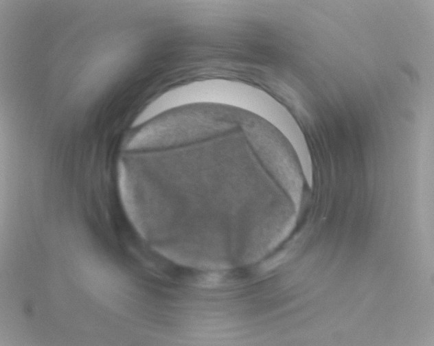 X0000115040382200911231138