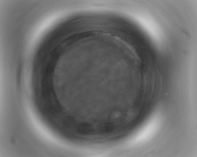 X0000115040383200911231138