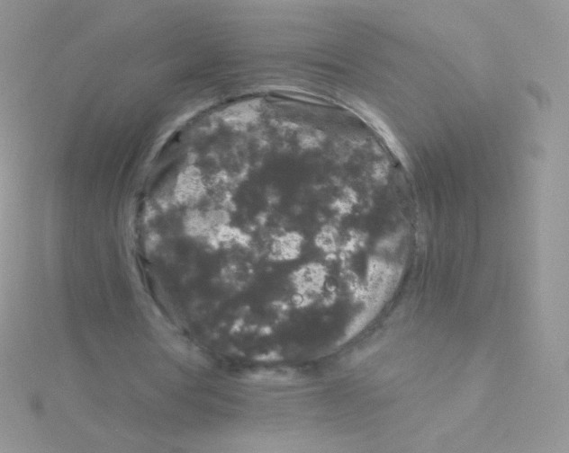 X0000115040386200911231137