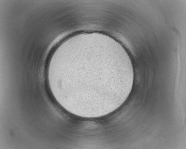 X0000115040392200911231137