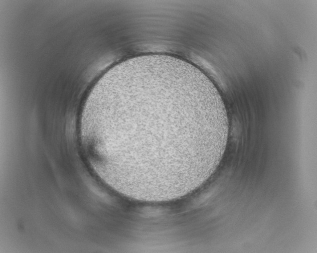 X0000115040394200911231137