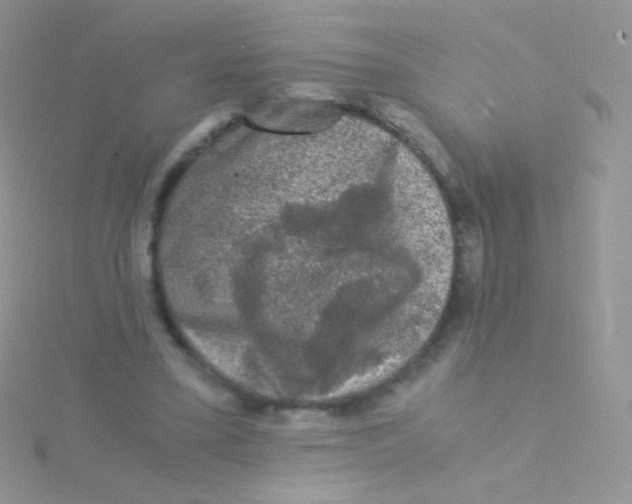 X0000115040395200911231137