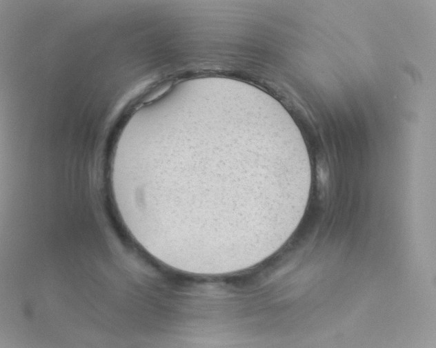 X0000115040396200911231137