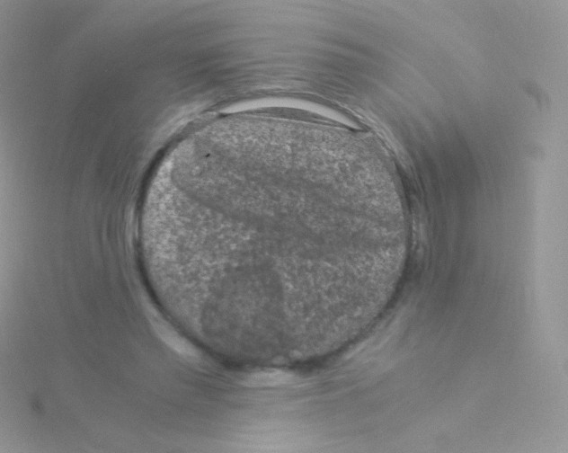 X0000115040397200911231137