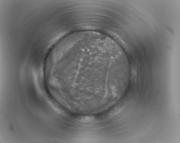 X0000115040398200911231137