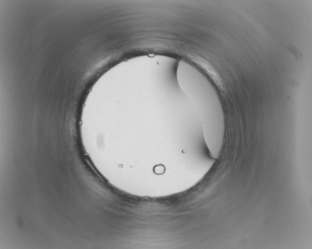 X0000115040399200911231137