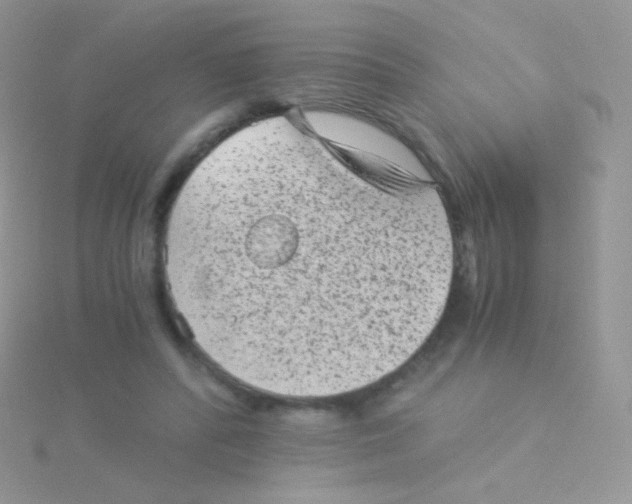 X0000115040400200911231137