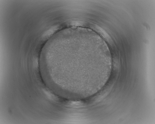 X0000115040401200911231137