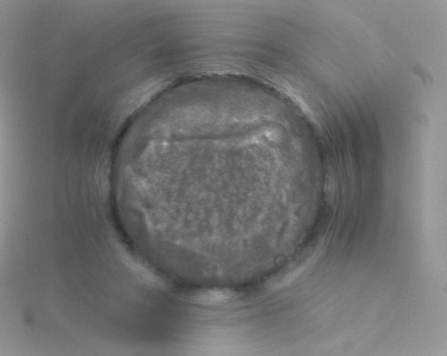 X0000115040402200911231137