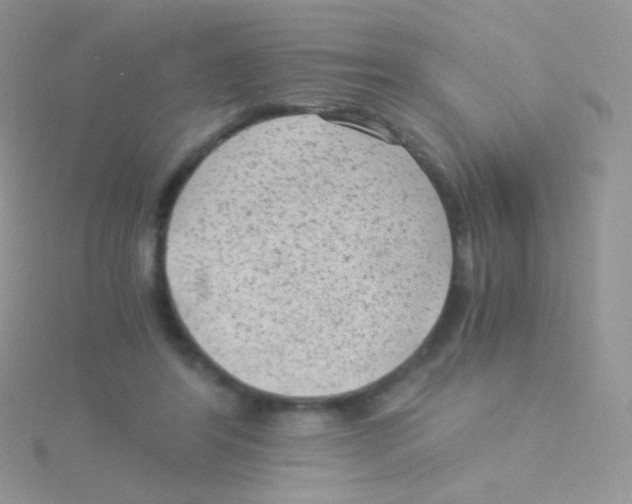 X0000115040404200911231137