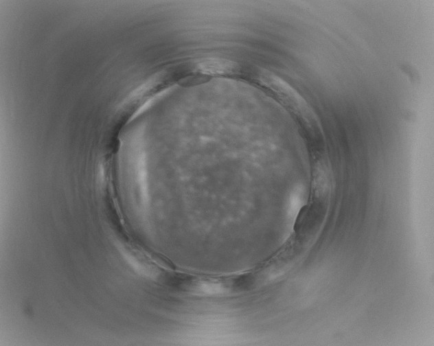 X0000115040405200911231137