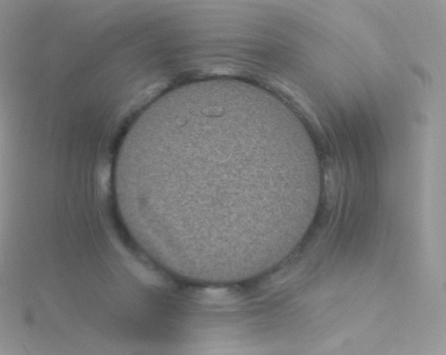 X0000115040406200911231137