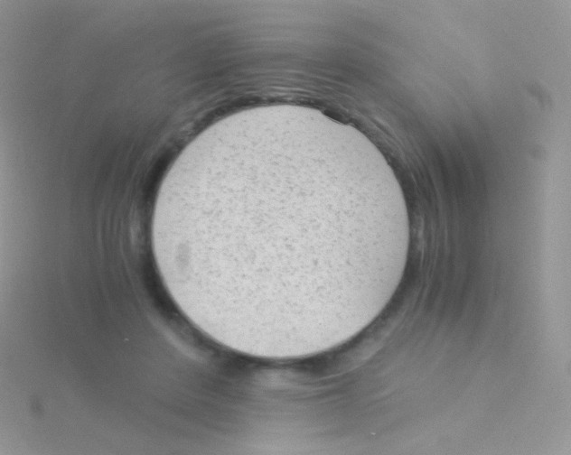 X0000115040408200911231137