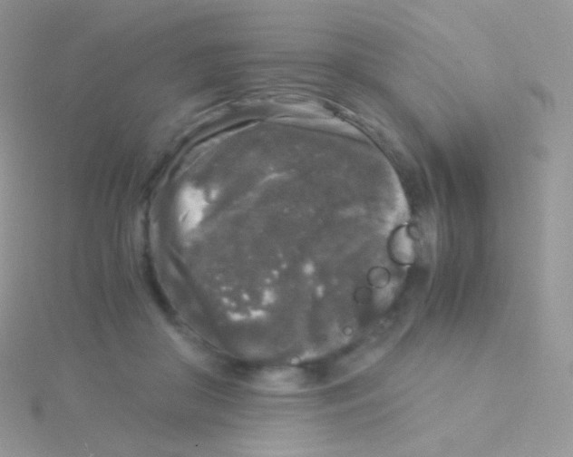 X0000115040410200911231137