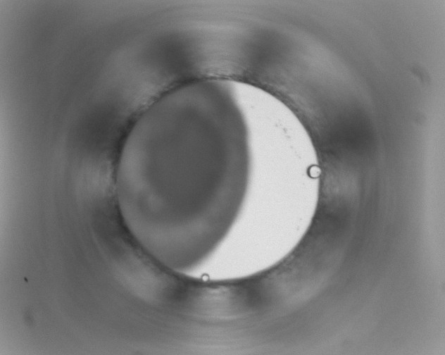 X0000115040411200911231137