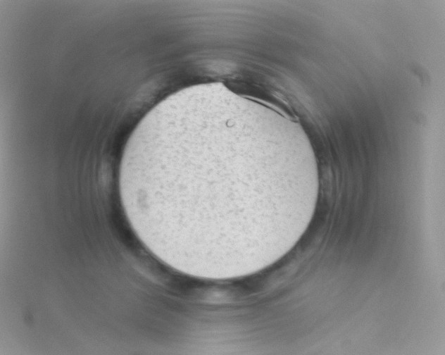 X0000115040412200911231137