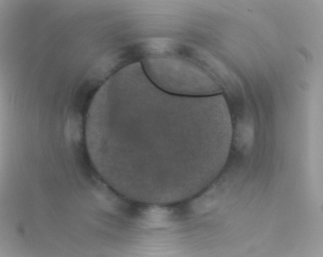 X0000115040413200911231137