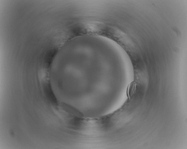 X0000115040419200911231137