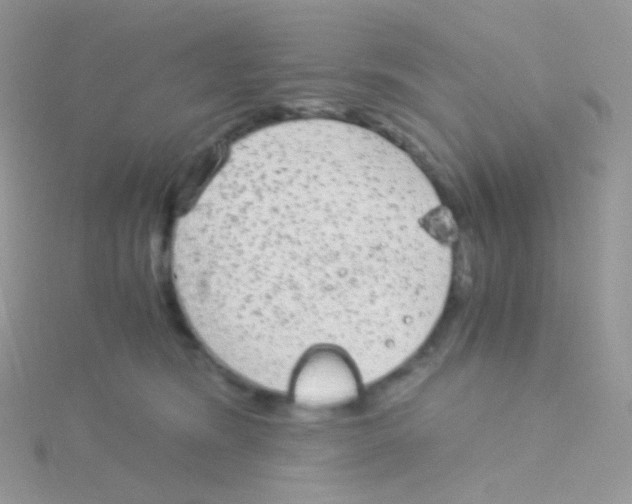 X0000115040420200911231137